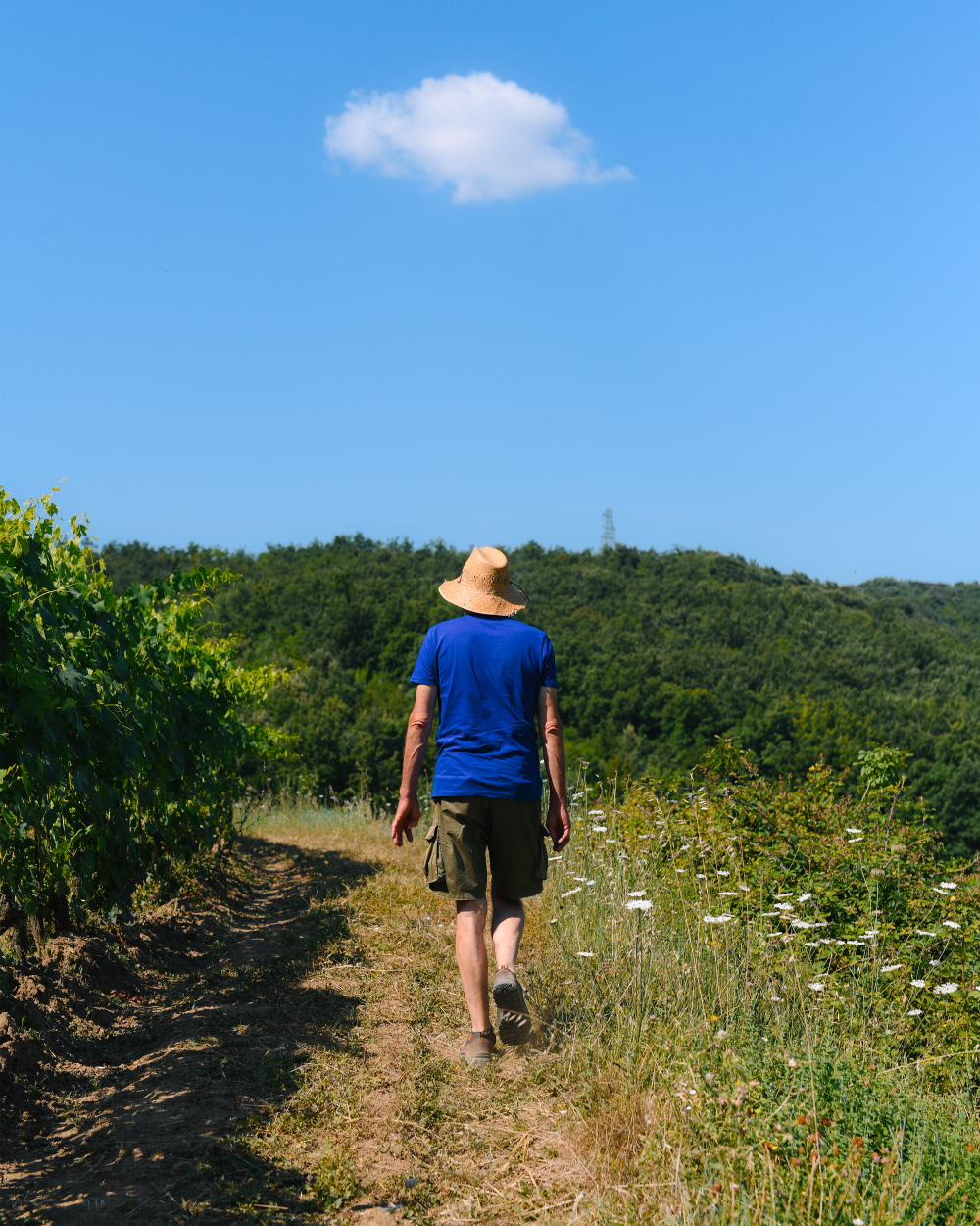 Dans le monde du vin, chaque bouteille de vin d’artisan·e encourage les pratiques viticoles respectueuses du vivant.