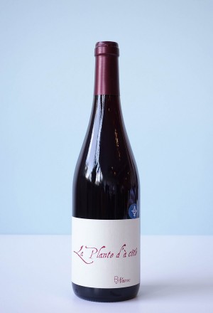 Domaine Henri Naudin-Ferrand