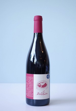 Domaine Catherine et Pierre Breton