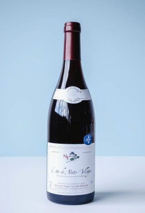 Domaine Henri Naudin-Ferrand