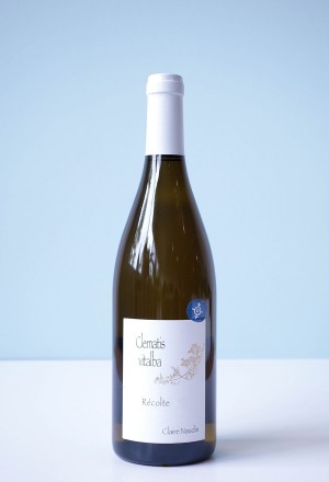 Domaine Henri Naudin-Ferrand