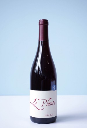 Domaine Henri Naudin-Ferrand